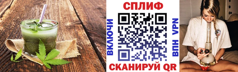 Cannafood конопля  Тбилисская 