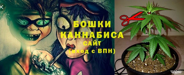 бошки Мегион