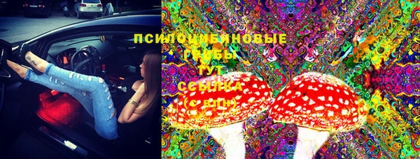 mdma Медвежьегорск