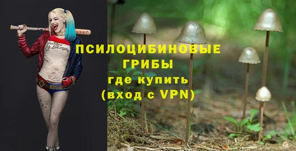 бошки Мегион