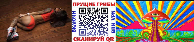 Псилоцибиновые грибы ЛСД  Тбилисская 